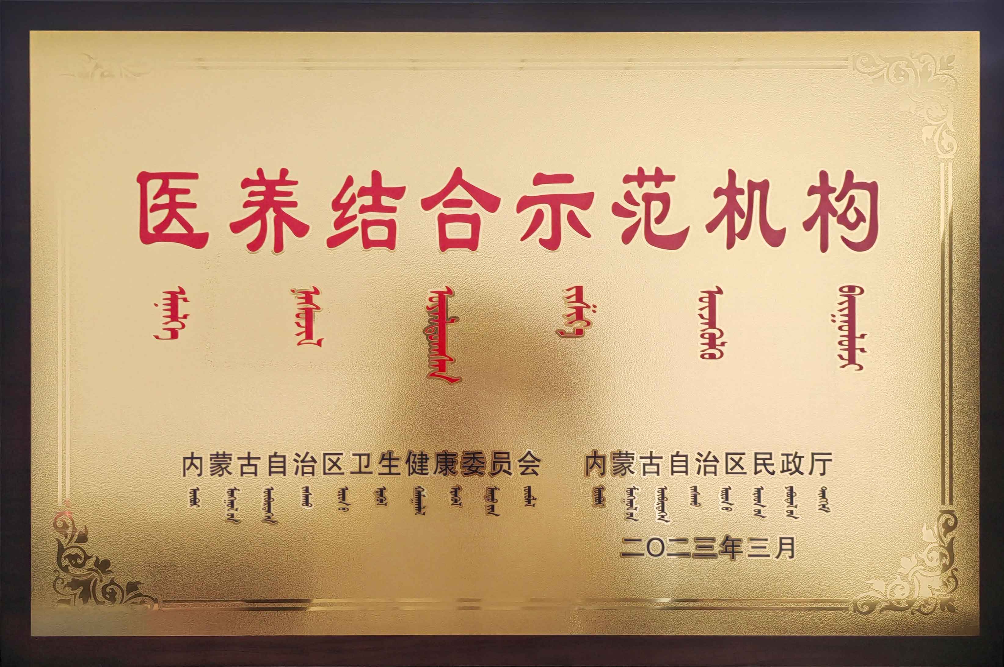 医养结合示范机构